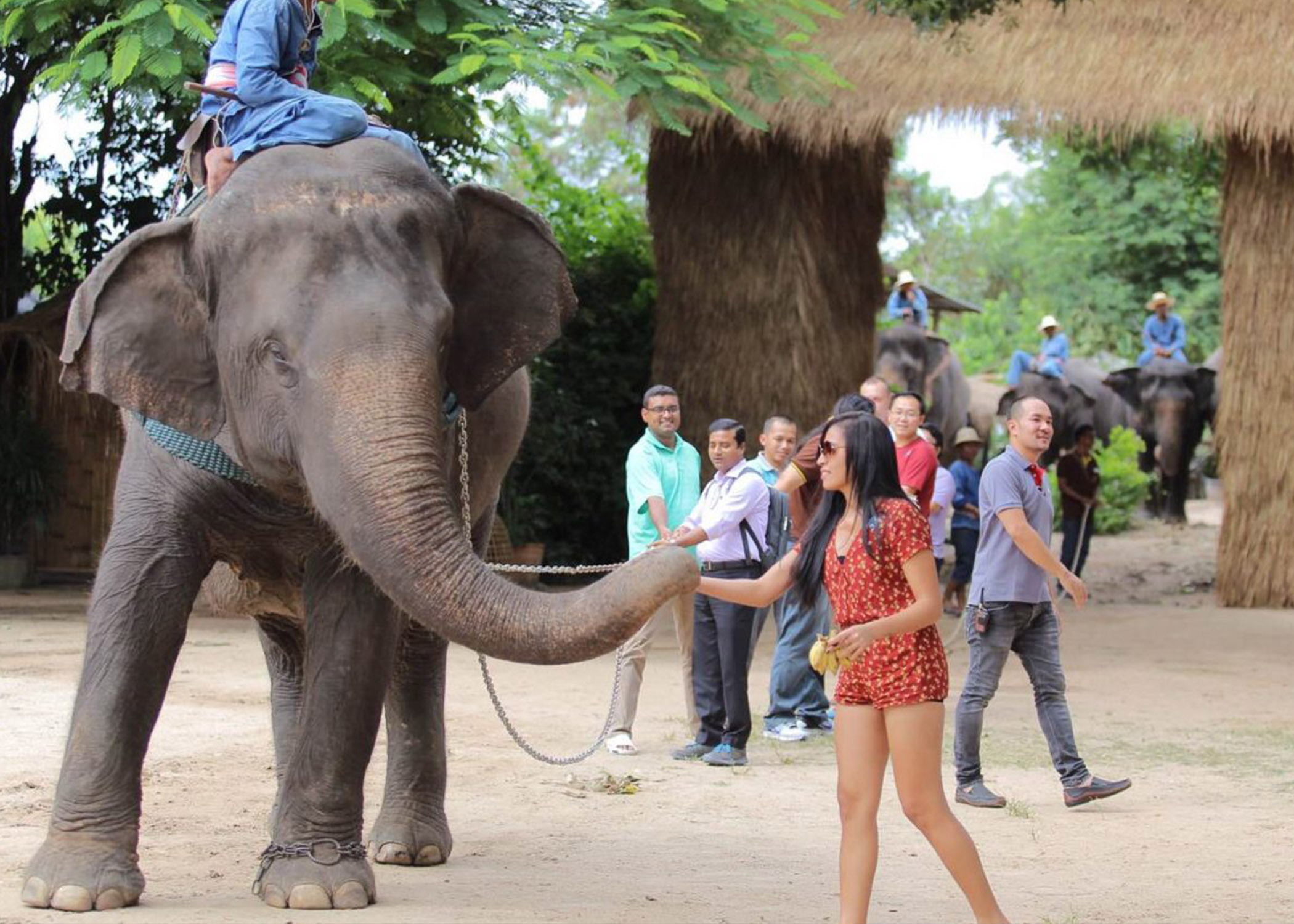 Хоол: Өглөө/Өдөр/Орой