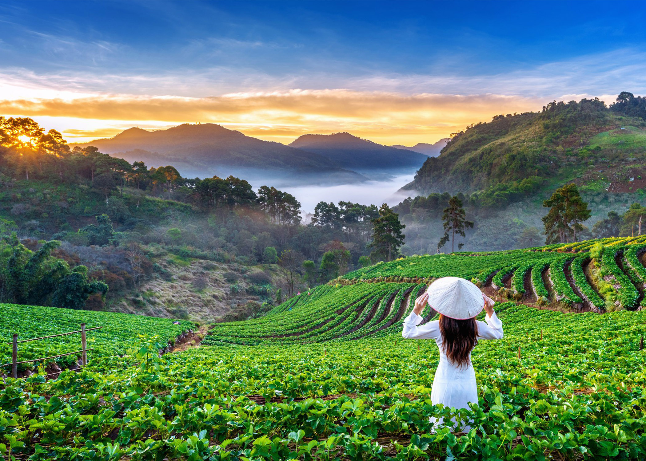 Хо Ши Мин болон Фукуок хосолсон аялал /Вьетнам/